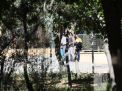 گزارش تصویری آزمون استخدامی بانک ملی 